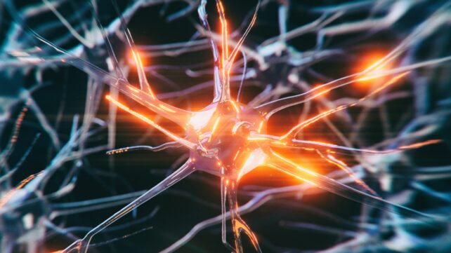 A glowing orange center is seen in a blue neuron cell network, on a black background