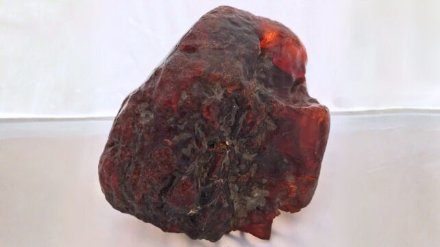A highly valuable chunk of fossilized amber that looks like a rock. It's the biggest piece of rumanite ever found