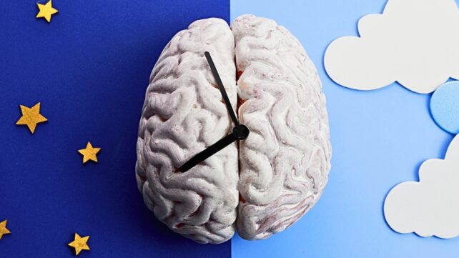 Brain with clock on background split into night sky and day sky