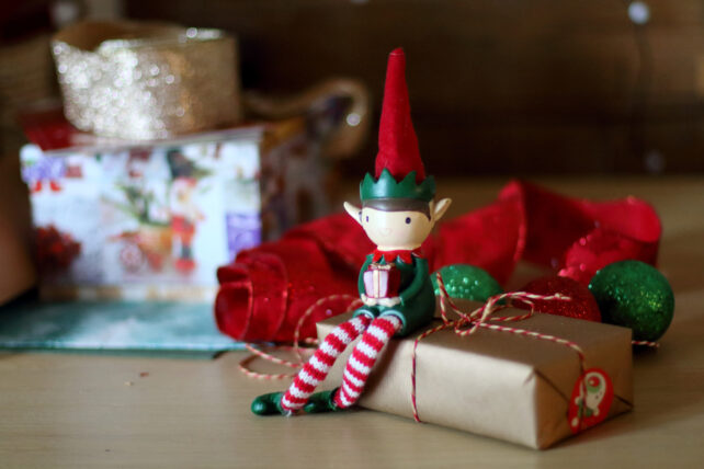 The Bizarre Biology of Elves