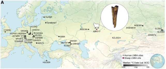 Map of Eurasia showing sites where human remains containing plague bacteria DNA have been found, and one sheep.
