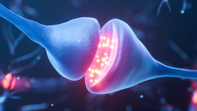 Biology nerve cell with biomedicine concept