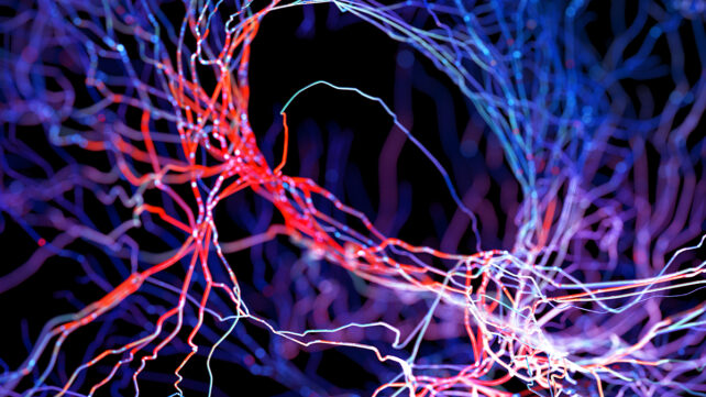 System of neurons with glowing connections