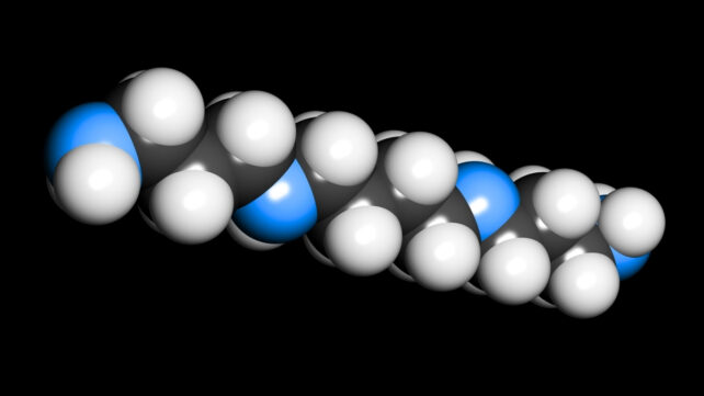 A small molecule, which has the potential to stop toxic build-up of proteins in the brain