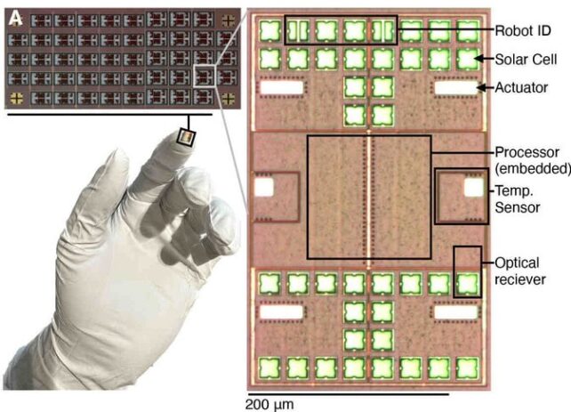 Panel of images showing a dark sheet of squares; each one is a tiny robot that an insert image zooms in on to reveal its components. Another image shows one square robot balancing on the fingertip of a white-gloved hand. 
