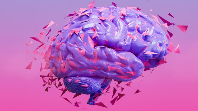 human brain pink background