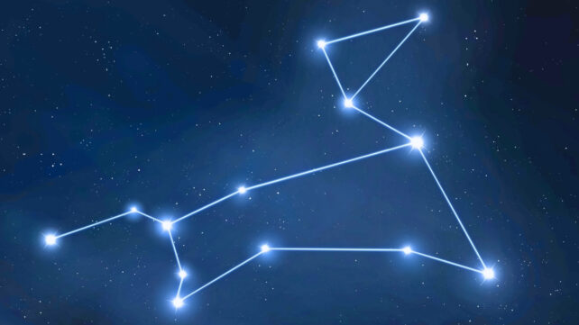 constellation canis major