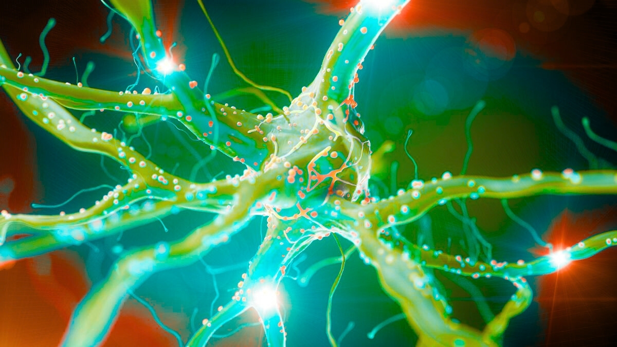 Christmas Shopping 'Hijacks' Your Brain. Here's What You Can Do About It.