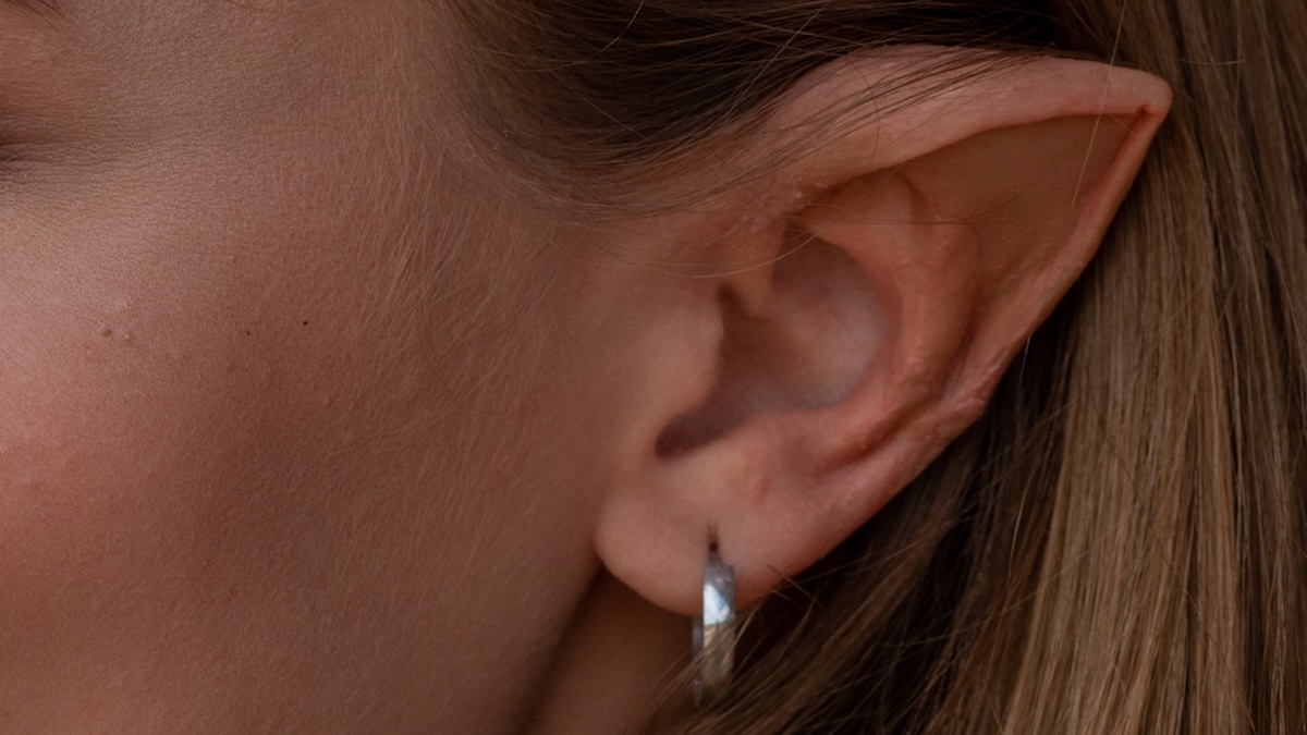 An Anatomy Professor Explains The Bizarre Biology of Elves : ScienceAlert