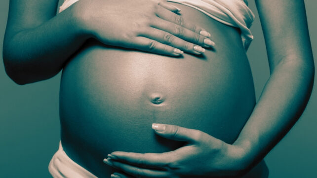 pregnant woman belly