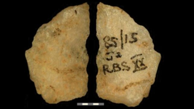 Earliest Direct Evidence of Poisoned Arrows Revealed in 60,000-Year-Old Relics