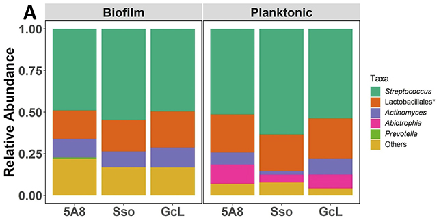Bacteria mix graphic