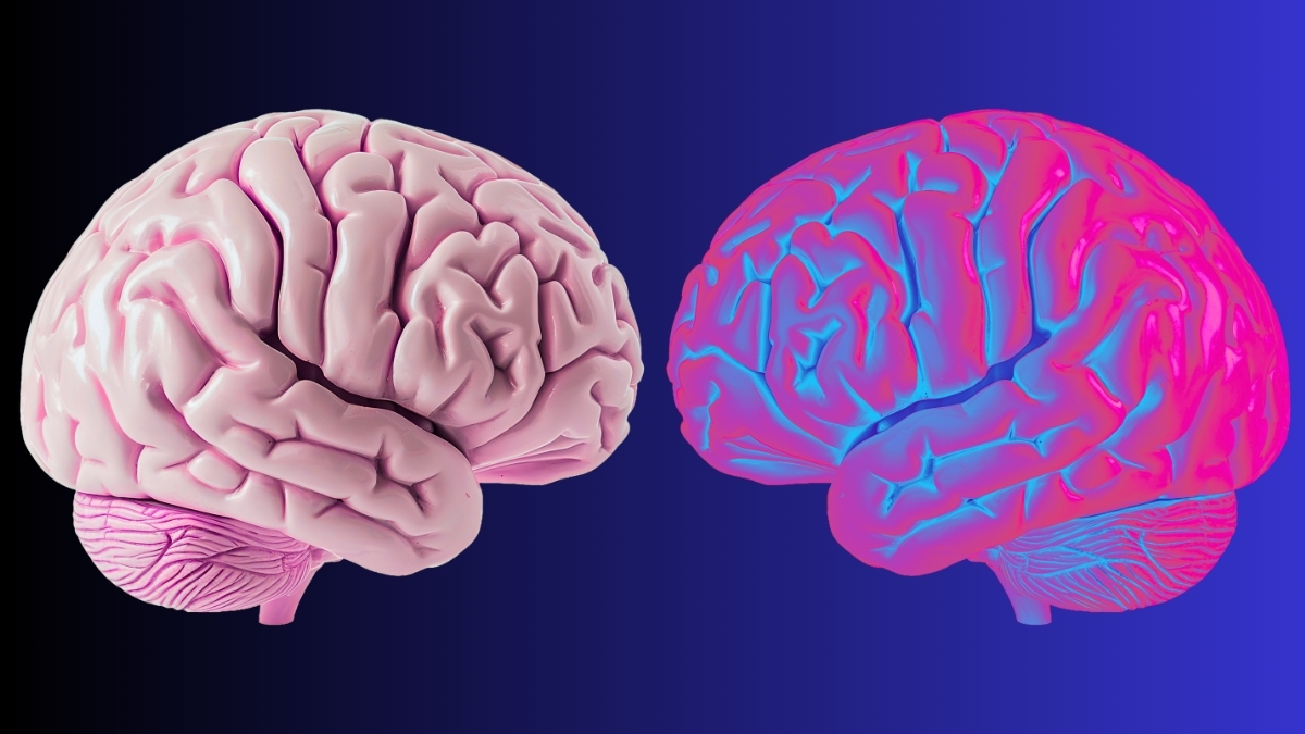 Scientists Identify Brain Waves That Define The Limits of 'You'