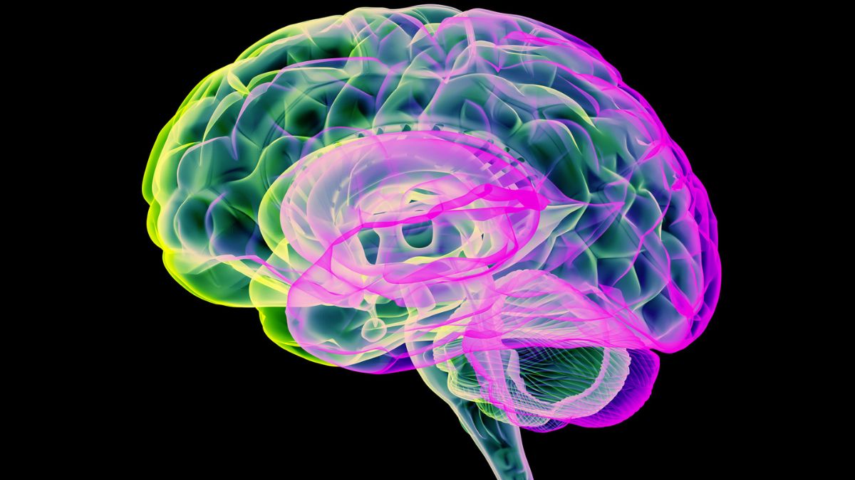 Carbon Dioxide 'Pulses' Clears Toxins From Parkinson's Brains in Recent Study