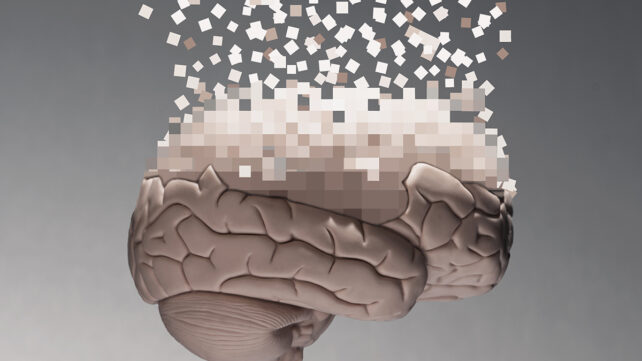 Human brain dissolving into squares