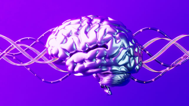 A digitally generated image of a brain