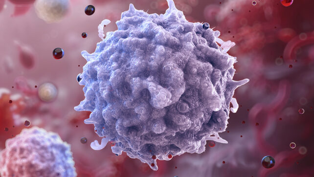 Illustration of human lymphocytes