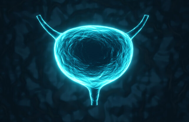 Glowy blue illustration of a bladder on dark background