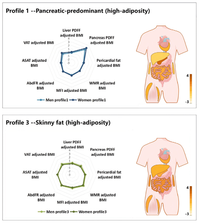 Fat distribution profiles