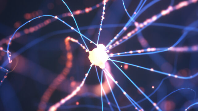 3D illustration of Interconnected neurons