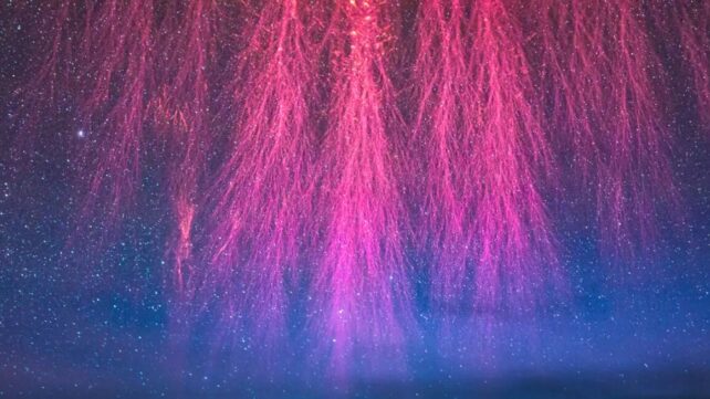 The lower tendrils of a sprite (red lightning) in a dark sky