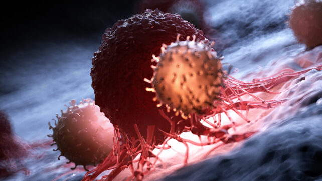 Illustration of white blood cells attacking a cancer cell