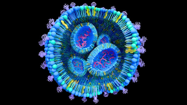 Illustration of a blue and purple sphere, showing intricately detailed structures inside it