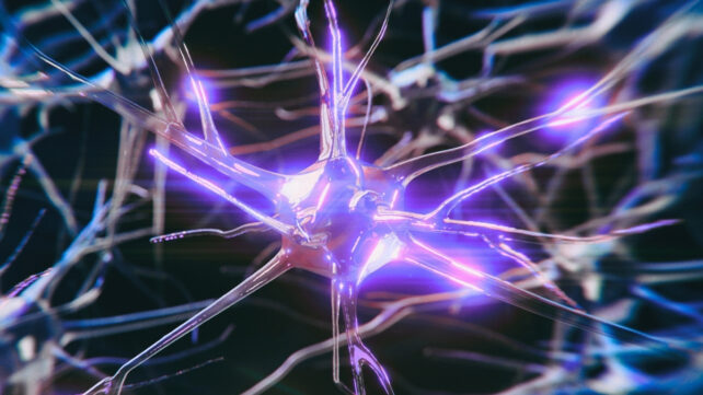 illustration of purple glow