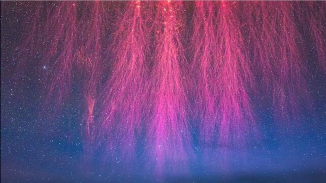 Lightning Comes in Many Strange Forms. Here's The Science.