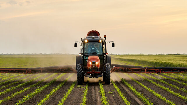 Tractor spraying fertilizer on corn field under sky