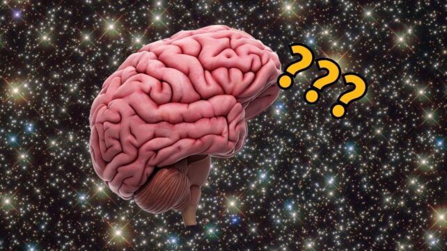 Astronauts Return to Earth With Lasting Brain Changes