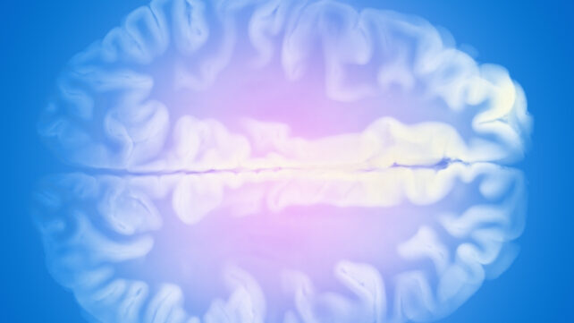 brain image on blue background