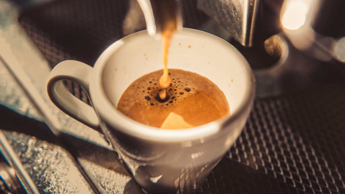 The Secret to Amazing Coffee May Lie Deep Inside Elephants