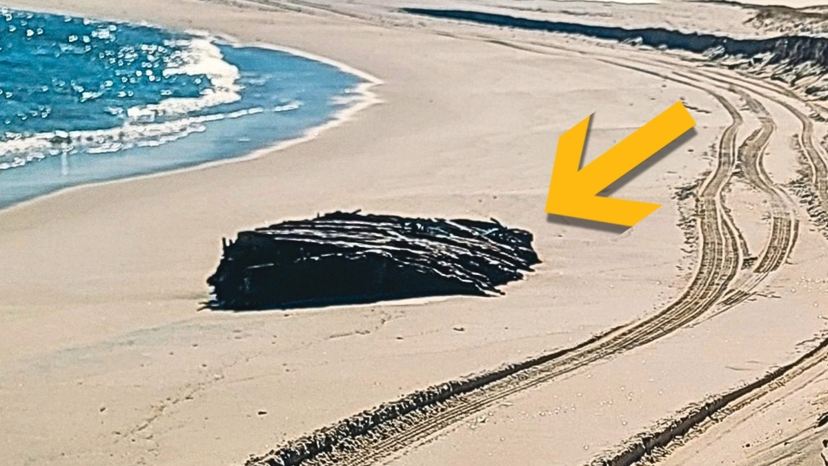 Fierce Storms Expose 19th-Century Maritime Mystery on Jersey Shore