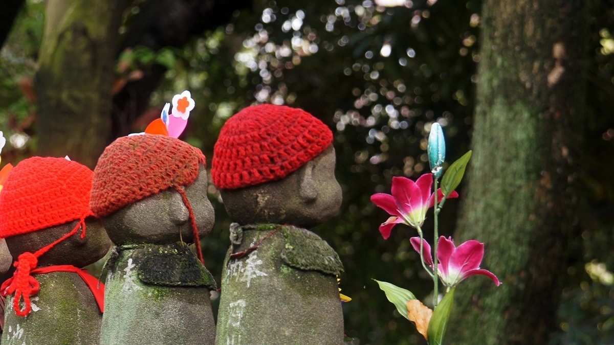 Roots of Many Miscarriages May Trace Back To Before The Mother Is Even Born