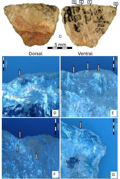 Hunter-Gatherers Laced Arrowheads