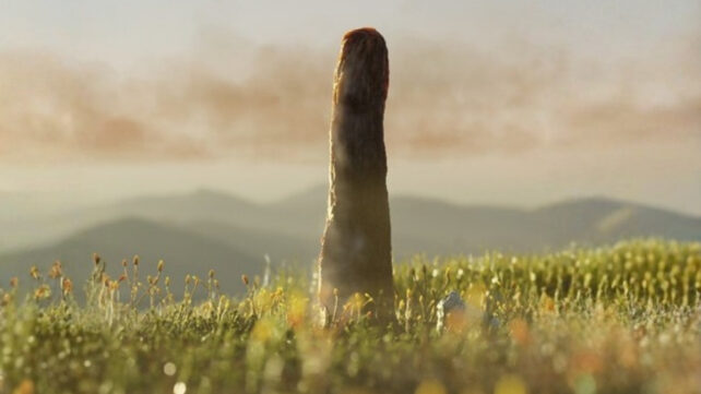 Mysterious Giants Could Be a Whole New Kind of Life That No Longer Exists