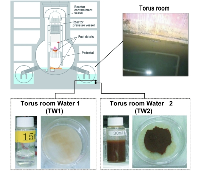 map showing site of microbe sampling 