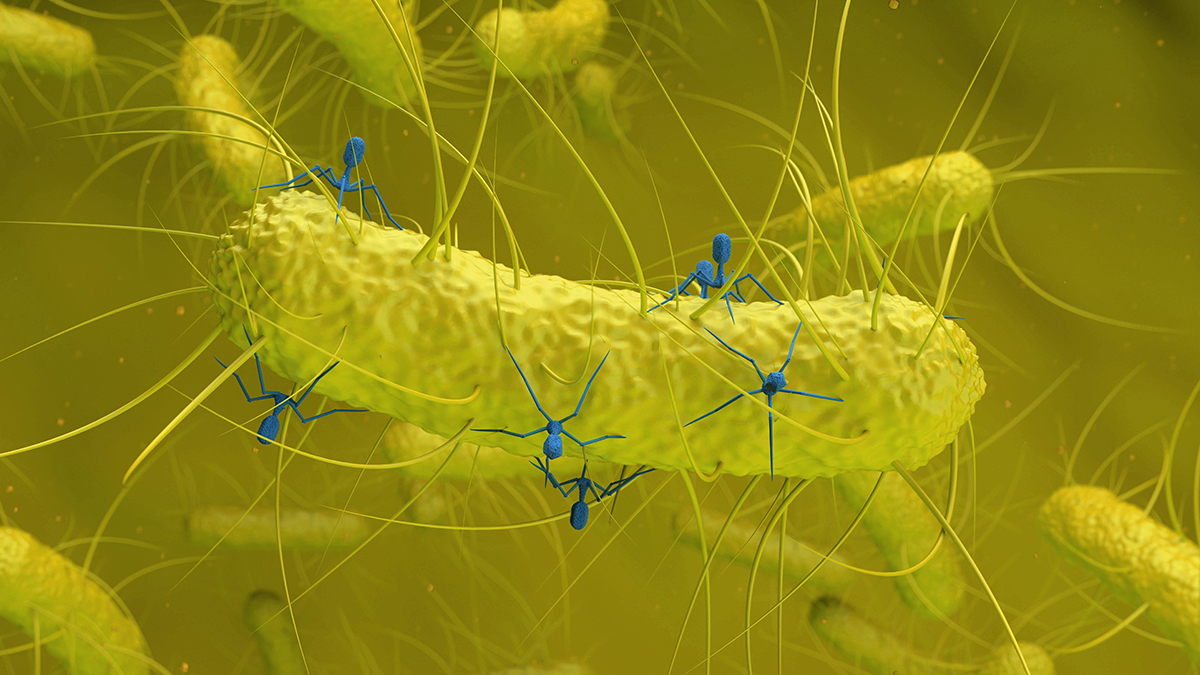 Nově objevený virus ve střevních bakteriích spojen s rakovinou tlustého střeva