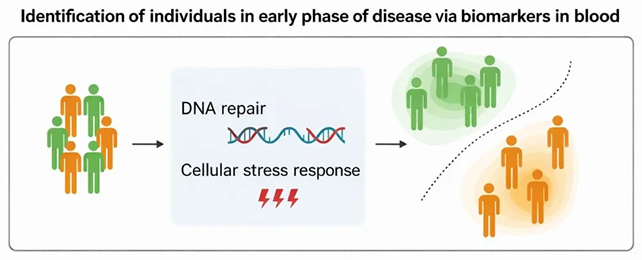 Gene expression diagram