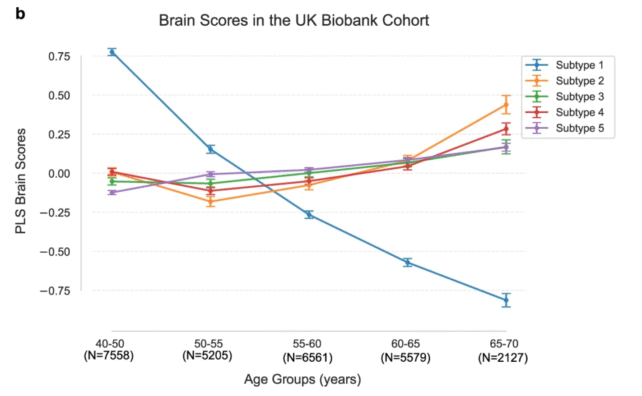 Brain Scores Chronotype