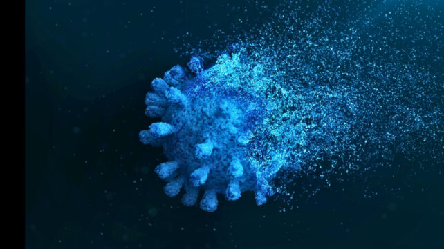 'Zombie' Remnants of COVID-19 Hunt In Packs And Kill Our Immune Cells