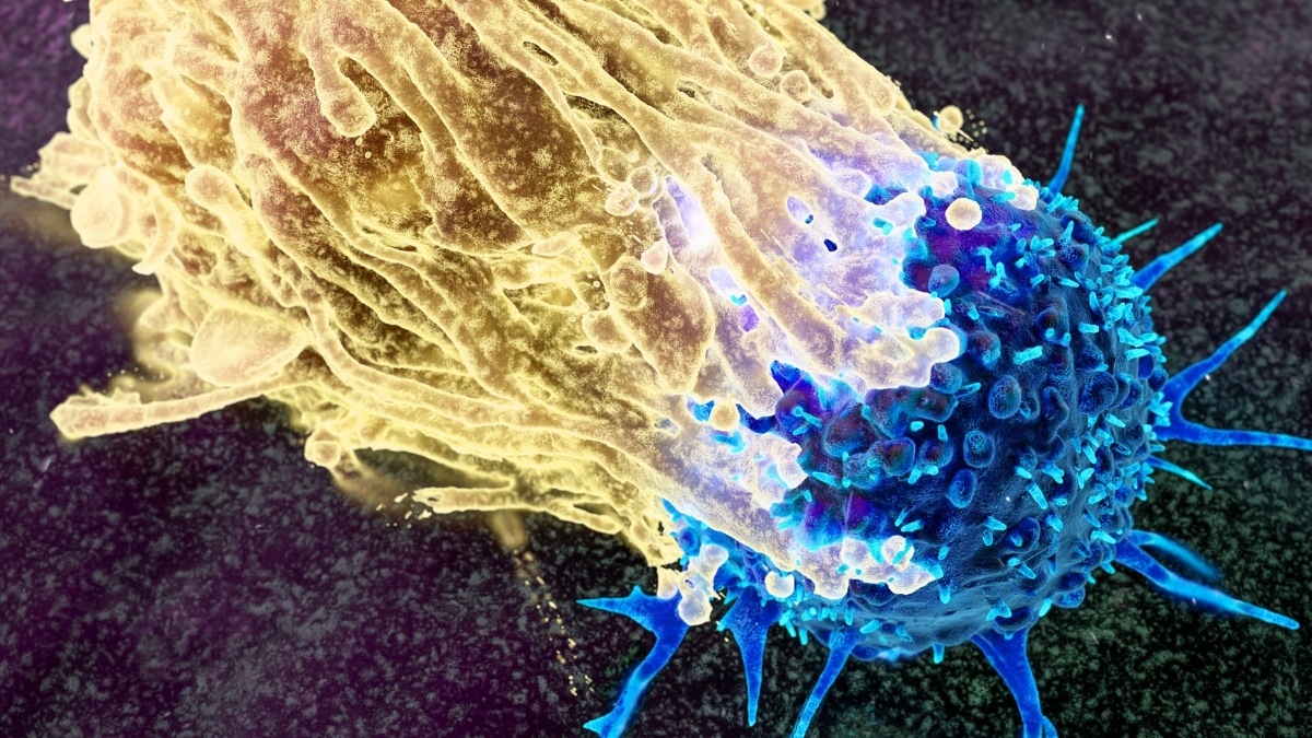 Scientists Want to Intercept Cancer Decades Before It Develops. Here's How.