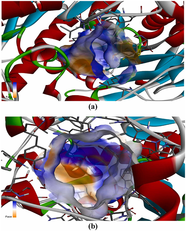 Enzyme binding