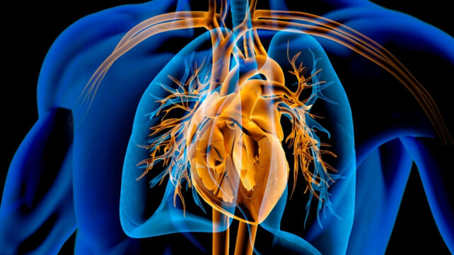 Semaglutide Pill Shows Heart Benefits in One Key Group, Study Finds