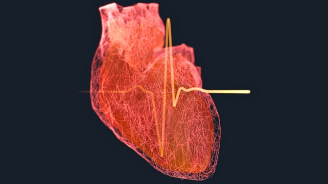 Illustration of a heart on a black background