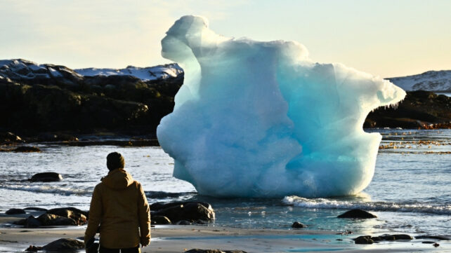 A man stands facing away from viewer, looking at an ice block at the coastline