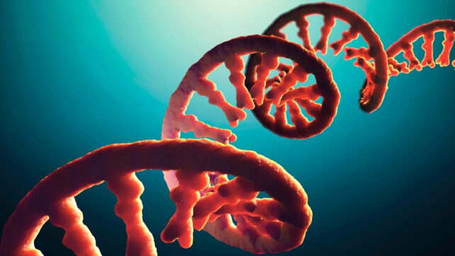 A strand of mRNA in orange, on a high-contrast bright blue background