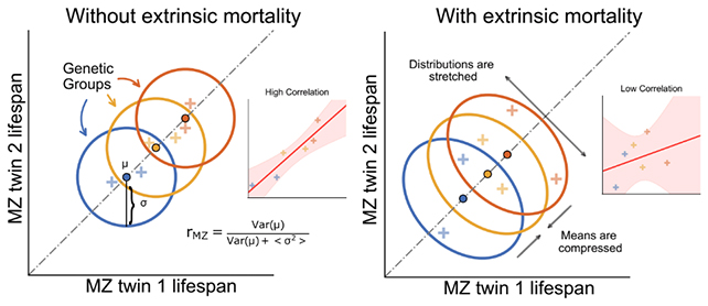 Mortality risk