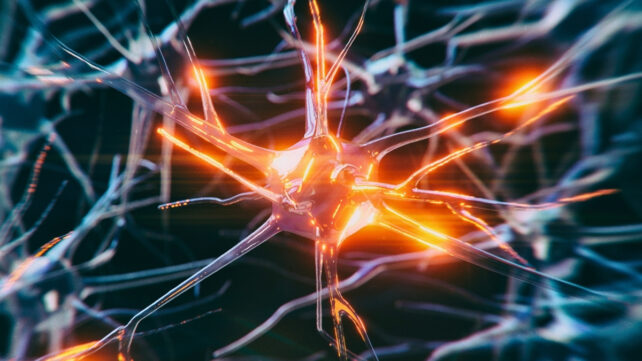 A glowing orange center is seen in a blue neuron cell network, on a black background